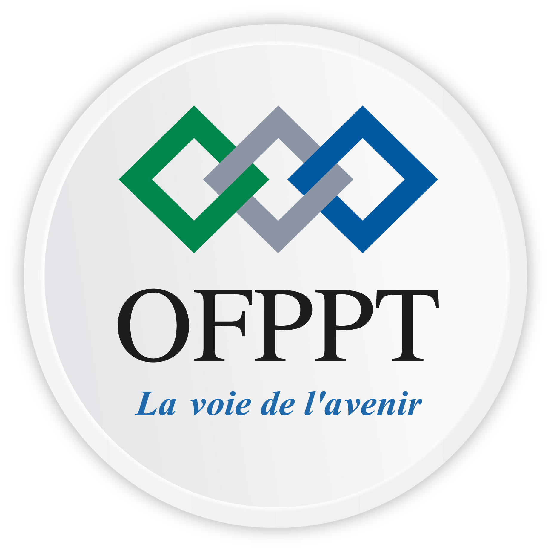 Logo OFPPT VF NV