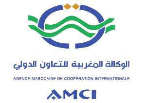 logo_amci2