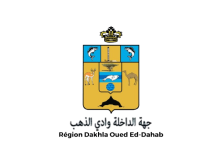 Region-Dakhla-Oued-Eddahab-Concours-Emploi-Recrutement-removebg-preview