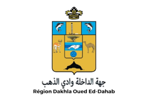 Region-Dakhla-Oued-Eddahab-Concours-Emploi-Recrutement-removebg-preview